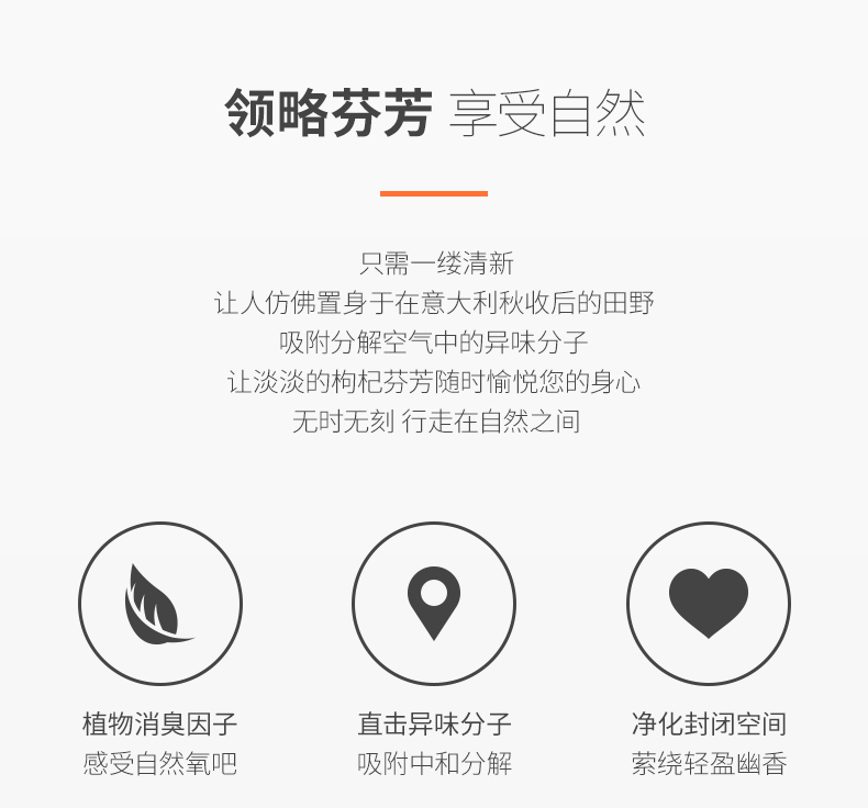 蒂诗琳  空气清新剂（黑杜松）350ml*12详情2