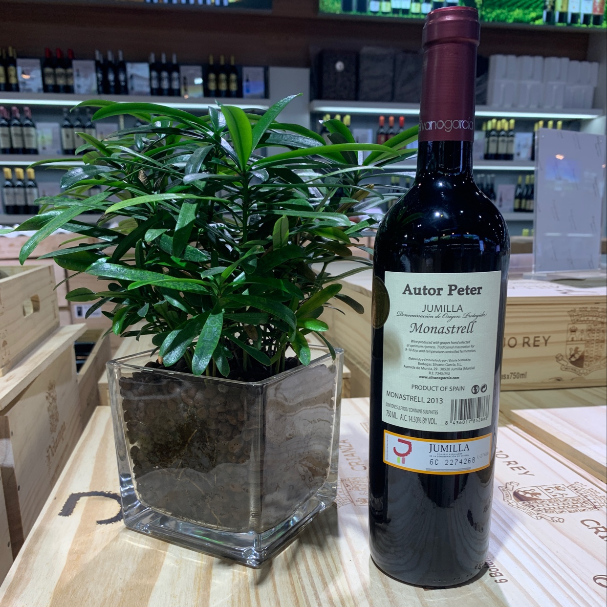 作者．皮特莫纳斯特雷尔产品图