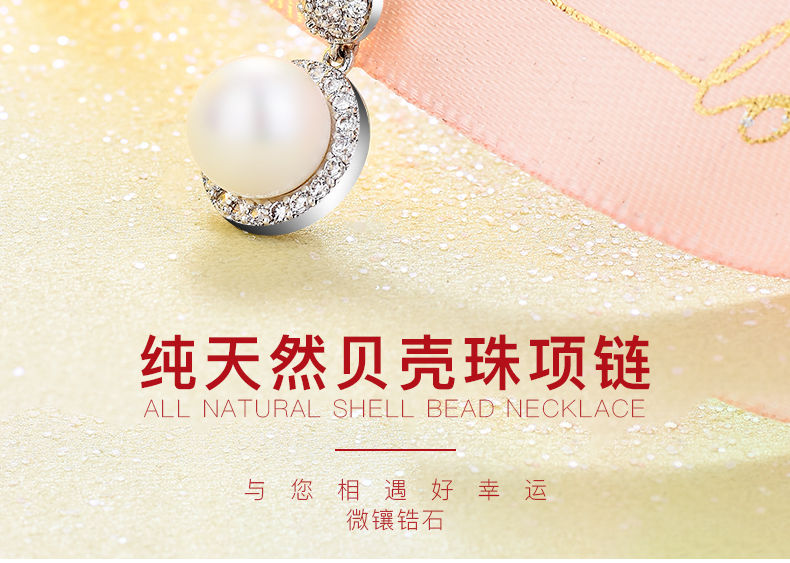 巴宝莉饰品套装 耳钉项链详情图6