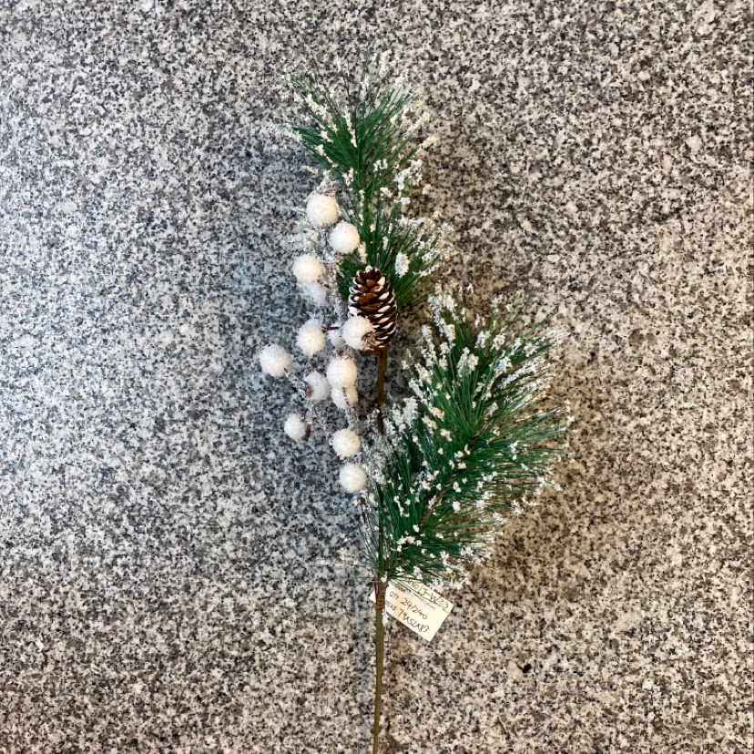Christmas ginkgo nuts