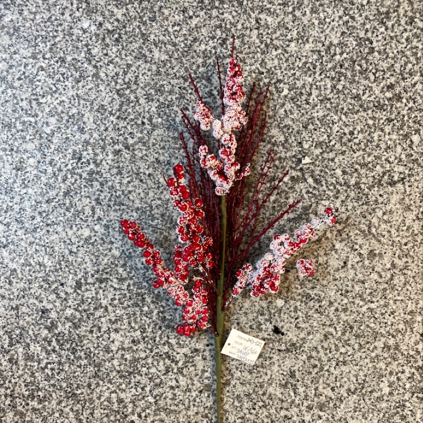 Navidad fruta roja con espuma blanca