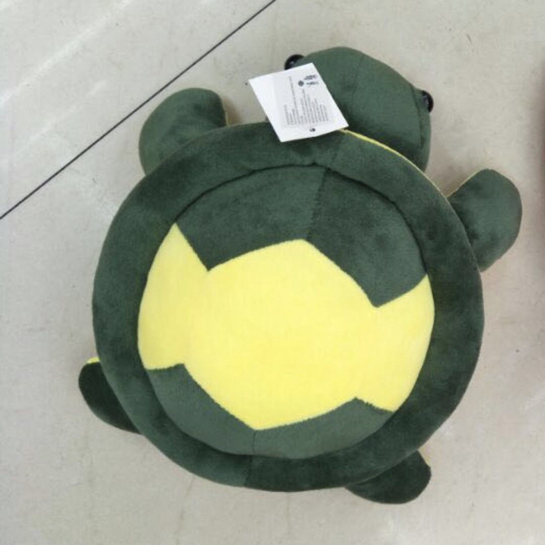 The tortoise thumbnail
