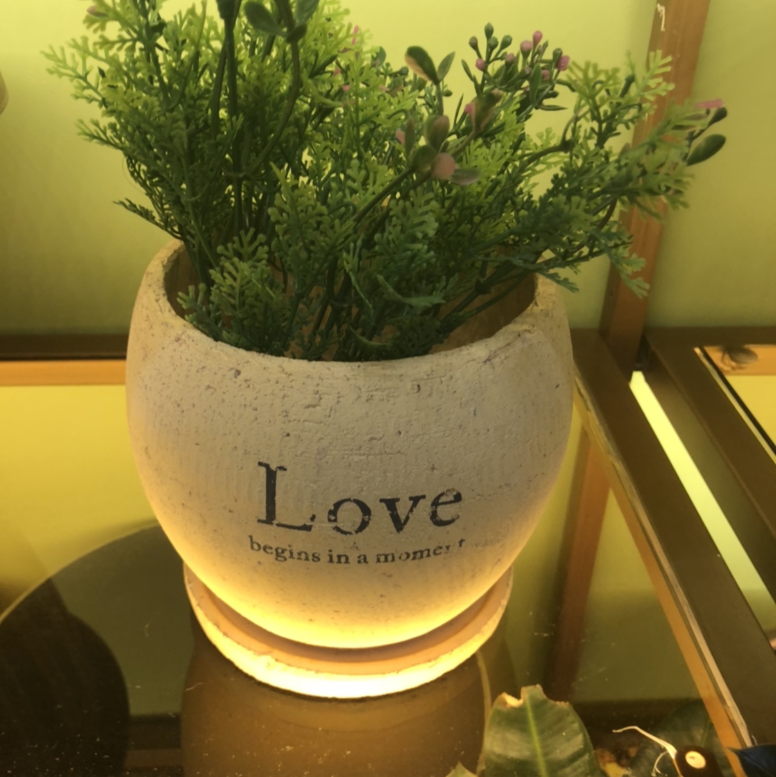 水泥花盆14x14 水泥花盆14x14工艺品工艺品工艺品工艺品工艺品工艺品工艺品1图