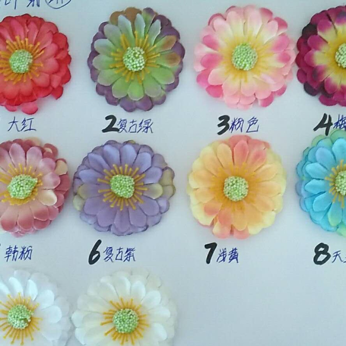 Pine leaf chrysanthemum
