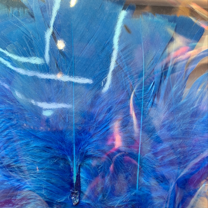 Turkey flat hair