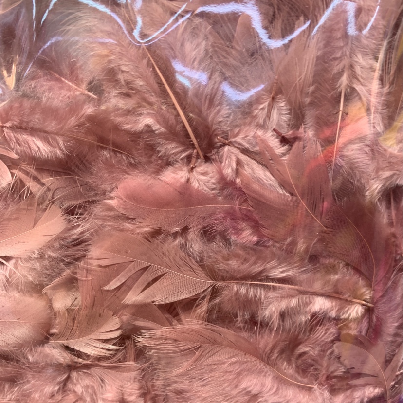 Chicken feather full figure