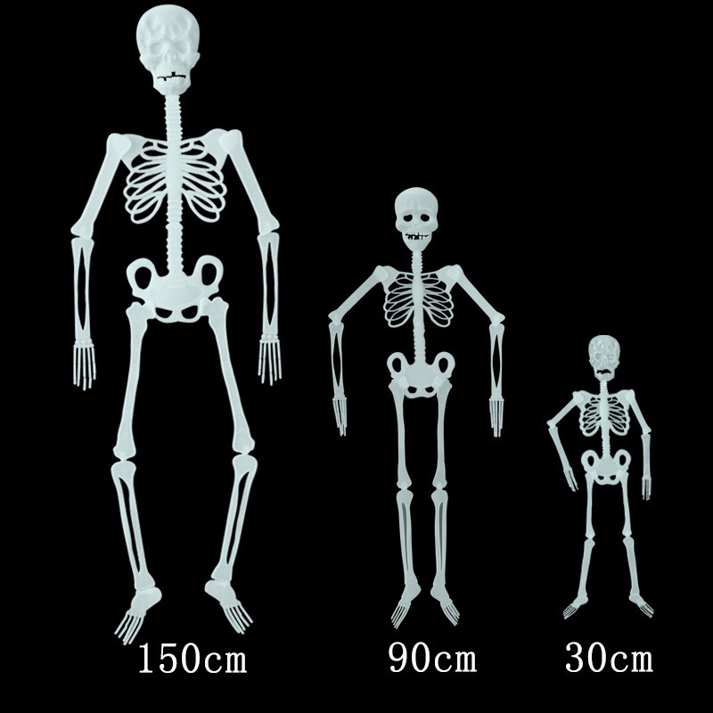 Luminous skeleton Halloween event props, bar haunted house decoration items, 1.5-meter, 90-centimeter, 30-centimeter luminous skeletons details Picture