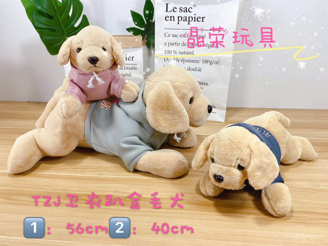 卫衣趴金毛犬40cm