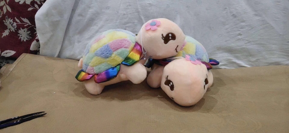 大乌龟