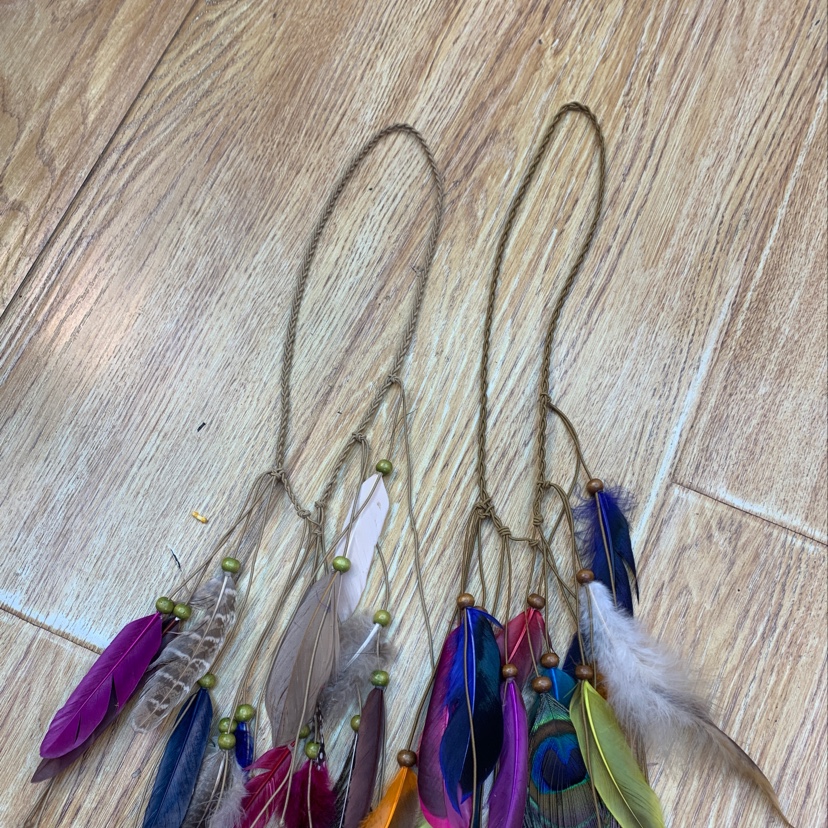 Feather headdress