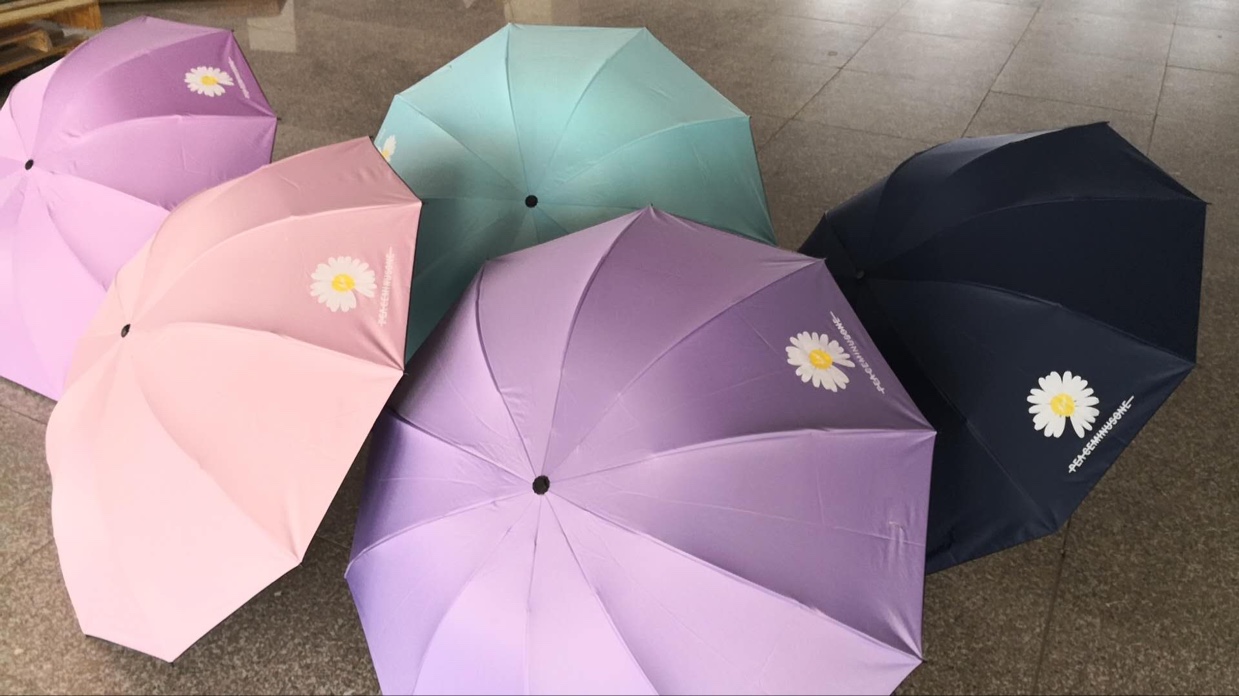30 percent off 10 strands of vinyl umbrella Zhilong popular small Daisy sunshade umbrella