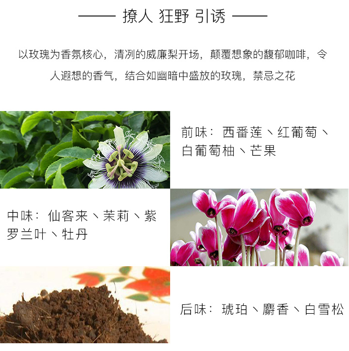 Burberry cherry blossom products detail image 6