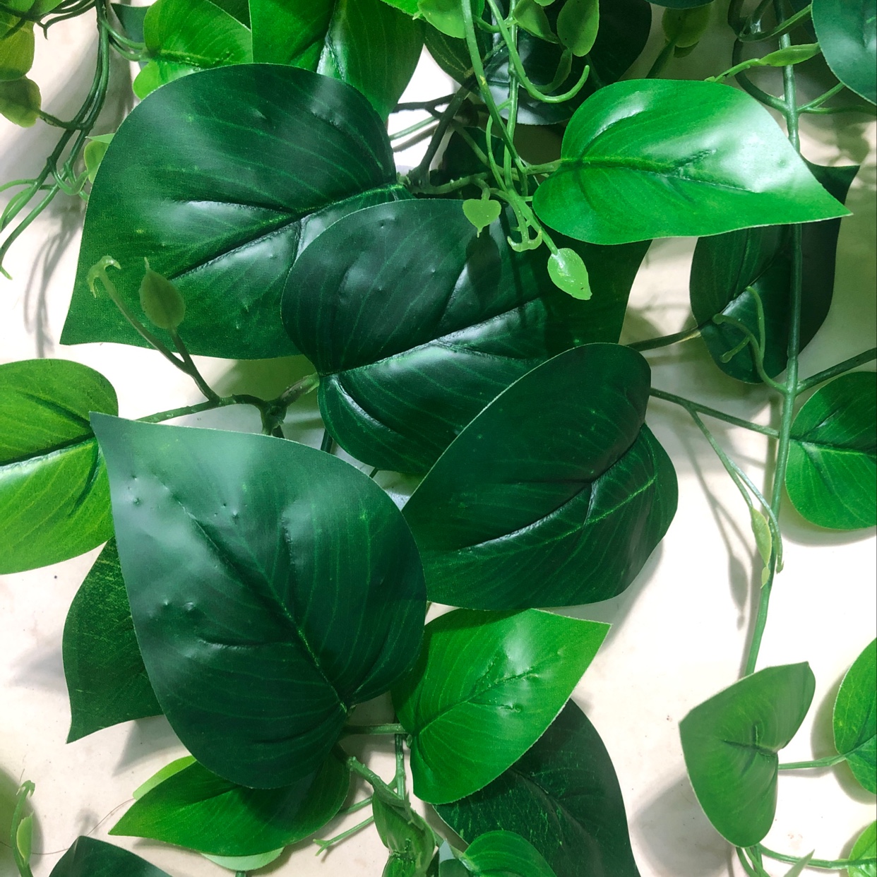 9 Fork Tape Hanging Orchid Evergreen Green Leaves details Picture