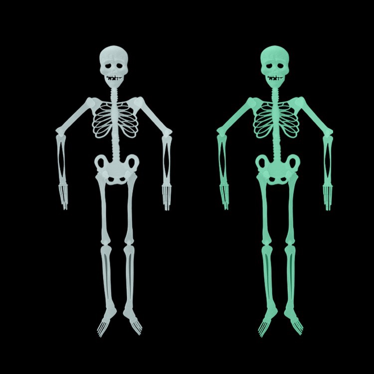 Luminous skeleton Halloween event props, bar haunted house decoration items, 1.5-meter, 90-centimeter, 30-centimeter luminous skeletons Application Scenario
