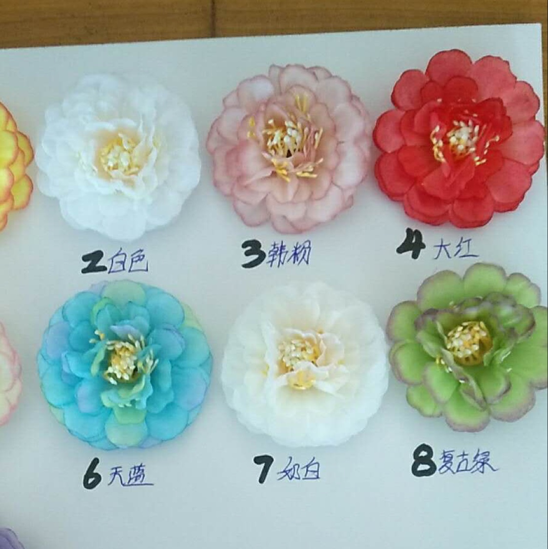 Hangzhou chrysanthemum