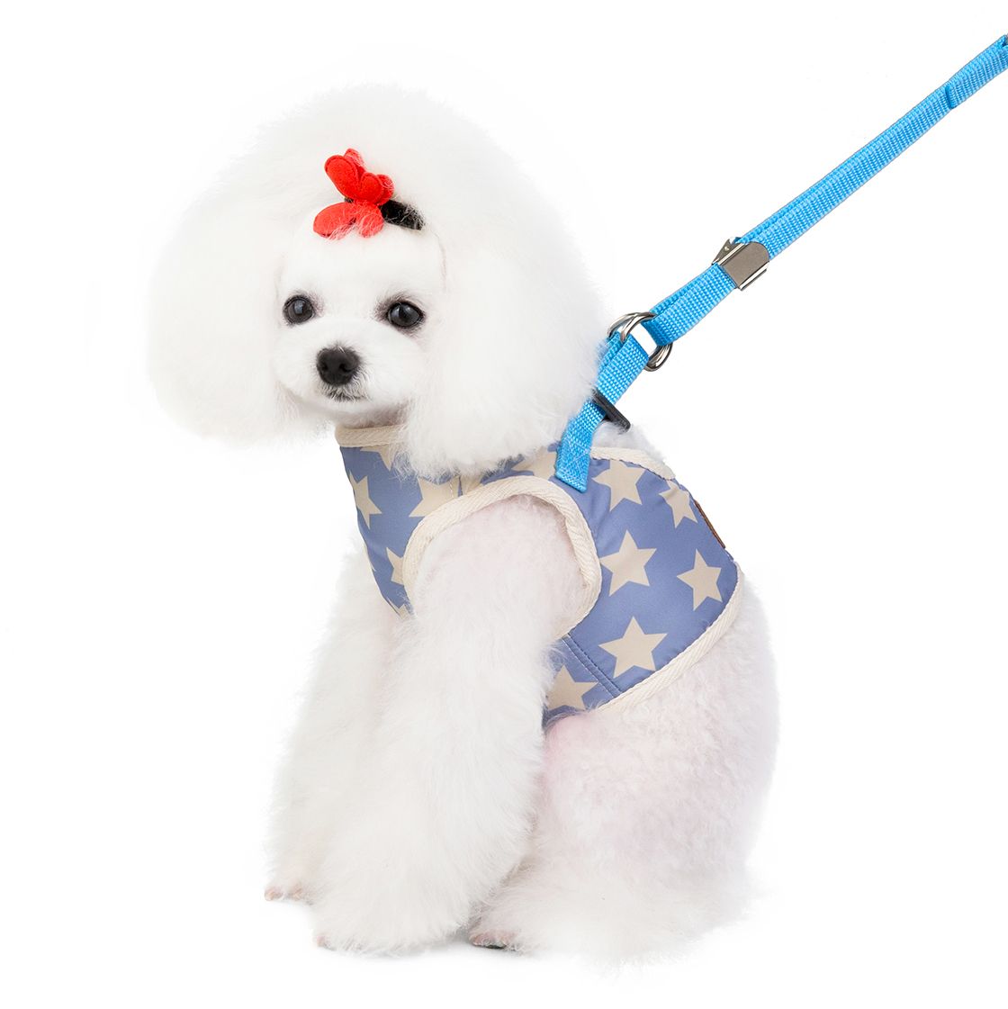 New spring and summer pet clothes pentagram chest back pet cool small dog clothes teddy clothes factory direct sales details Picture