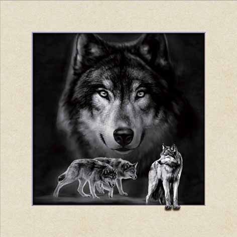 4040, 5D decorative painting Wolf Specification image