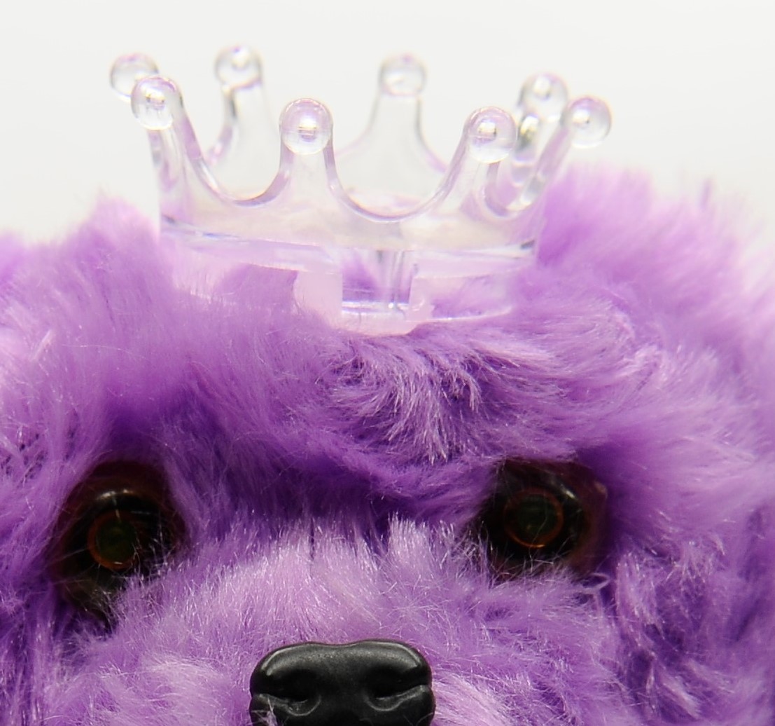 A stuffed toy dog on the floor in 2020 details Picture