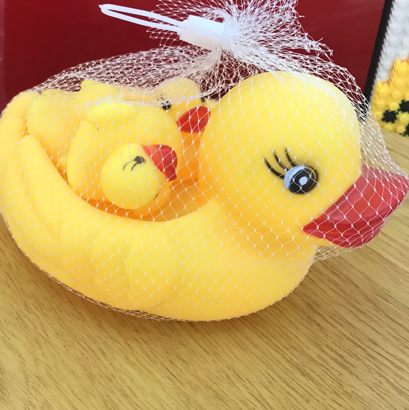 大号网鸭一大三小