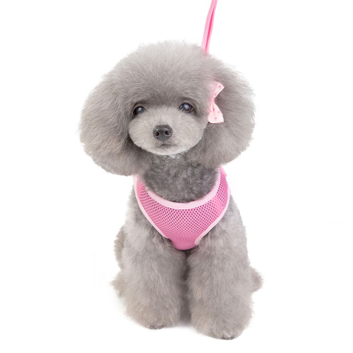 新款春夏宠物衣服网眼胸背宠物清凉小型犬衣服泰迪衣服厂家直销详情图10