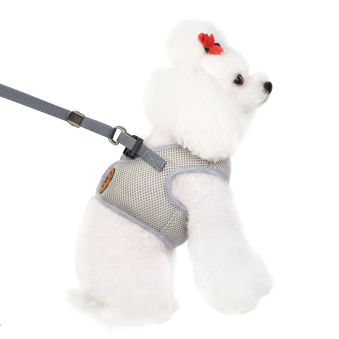 新款春夏宠物衣服网眼胸背宠物清凉小型犬衣服泰迪衣服厂家直销白底实物图