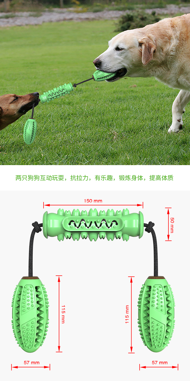 Pet products New Amazon dog toy teething stick bite resistant bone toothbrush dog toy with rope undefined