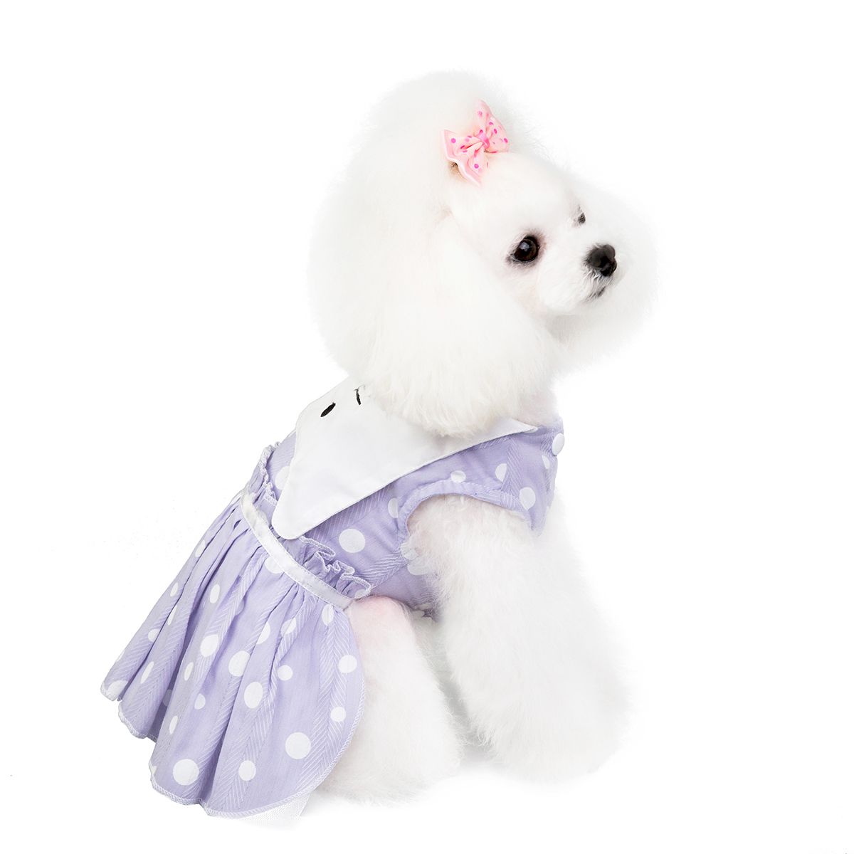 宠物衣服猫咪/宠物猫咪裙子/小型猫狗衣服产品图