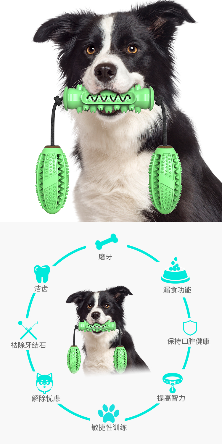 宠物用品新品亚马逊爆款狗狗玩具磨牙棒耐啃咬骨牙刷狗玩具带绳详情图7