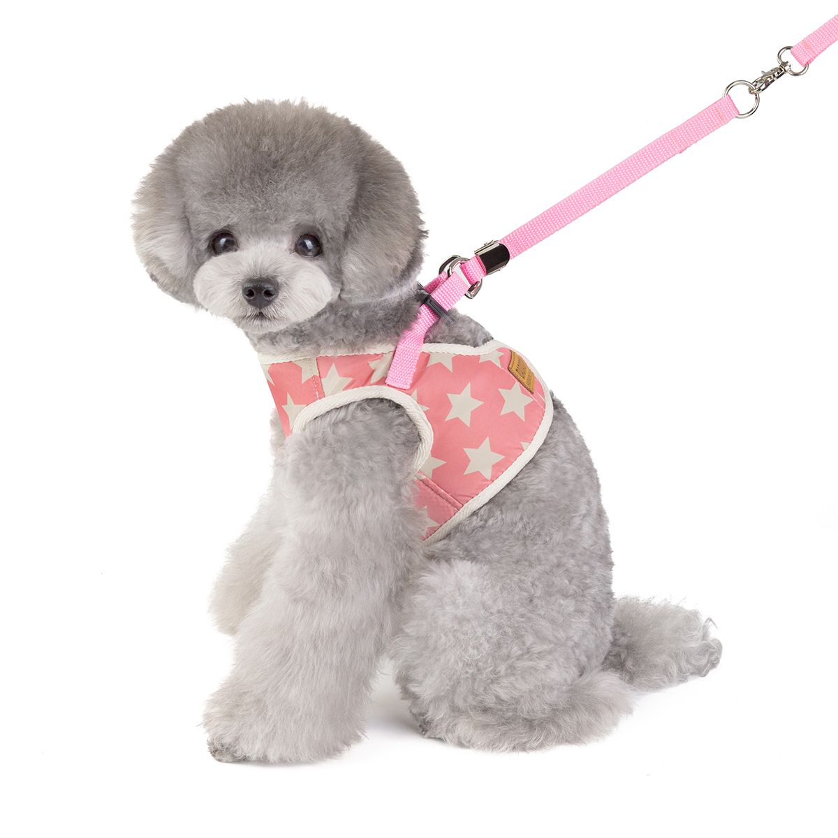 New spring and summer pet clothes pentagram chest back pet cool small dog clothes teddy clothes factory direct sales Item Picture