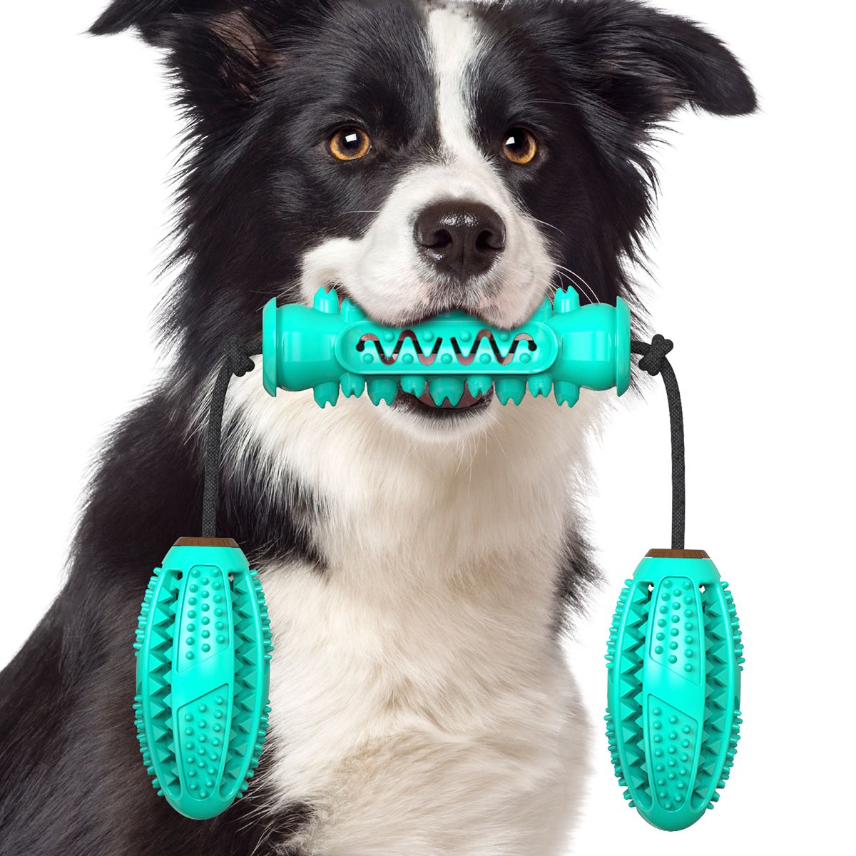 宠物用品新品亚马逊爆款狗狗玩具磨牙棒耐啃咬骨牙刷狗玩具带绳细节图