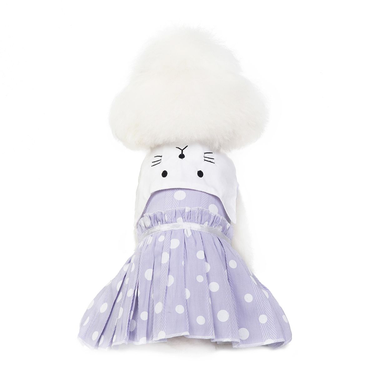 宠物衣服猫咪/宠物猫咪裙子/小型猫狗衣服细节图