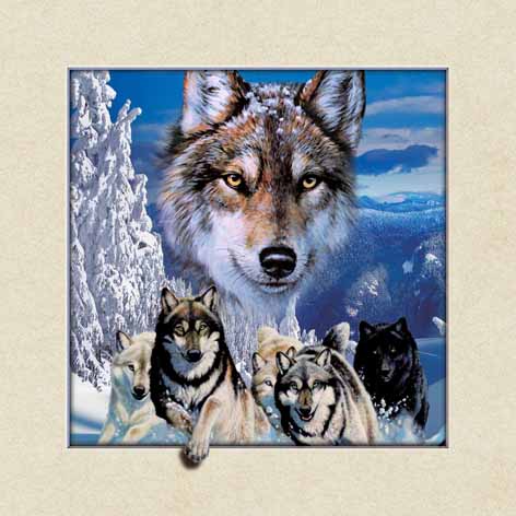 4040, 5D decorative painting Wolf
