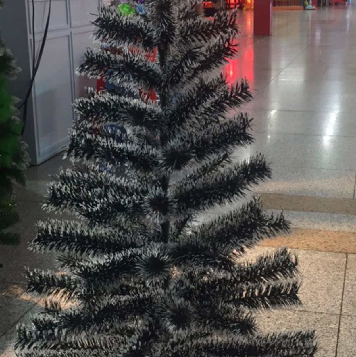 Árbol común 1.6m 1111