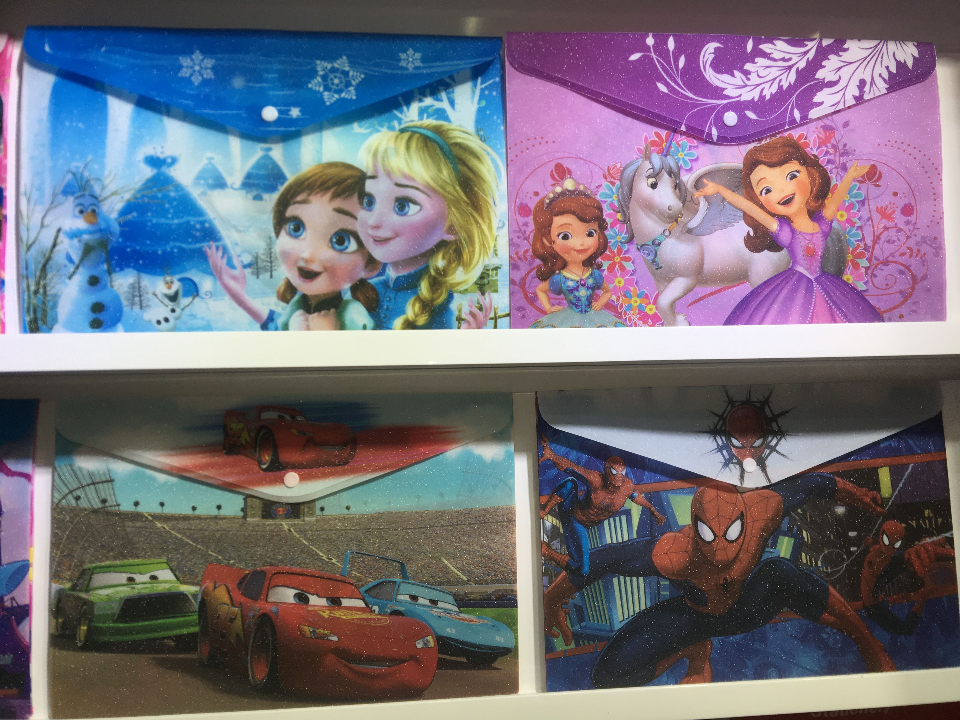 磨砂闪光文件袋产品图