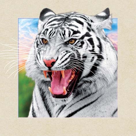 4040, 5D tiger drawing, three-dimensional stereoscopic drawing details Picture