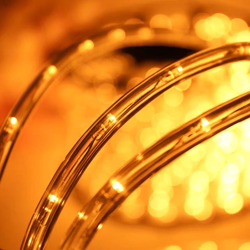 Outdoor waterproof decorative neon lighting project for 100-meter round two-wire LED rainbow tube flexible light strips Item Picture