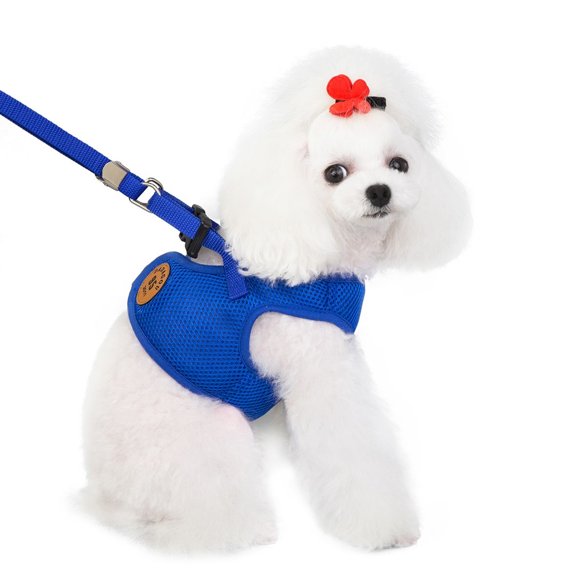 新款春夏宠物衣服网眼胸背宠物清凉小型犬衣服泰迪衣服厂家直销产品图