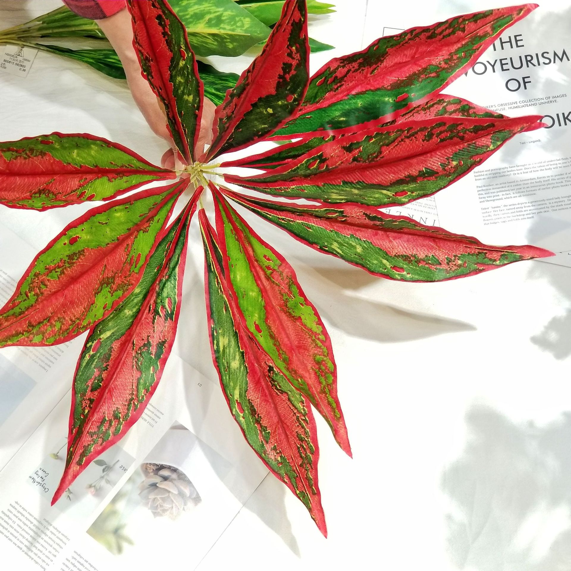荔欧11头红色火龙叶把束过胶布绿色火龙叶 巴西木叶简约仿真叶束