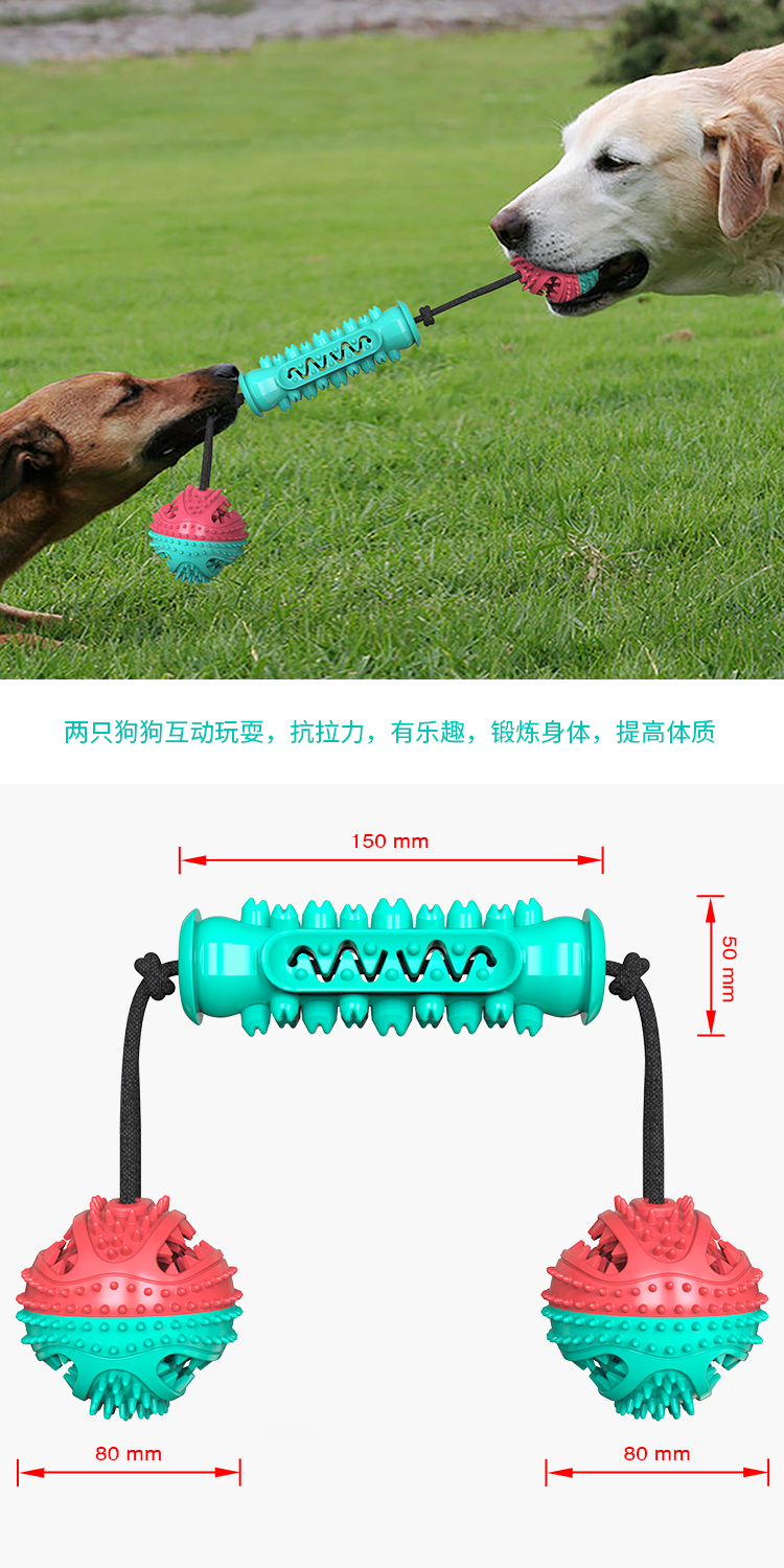 Pet products New Amazon dog toy teething stick bite resistant bone toothbrush dog toy with rope undefined