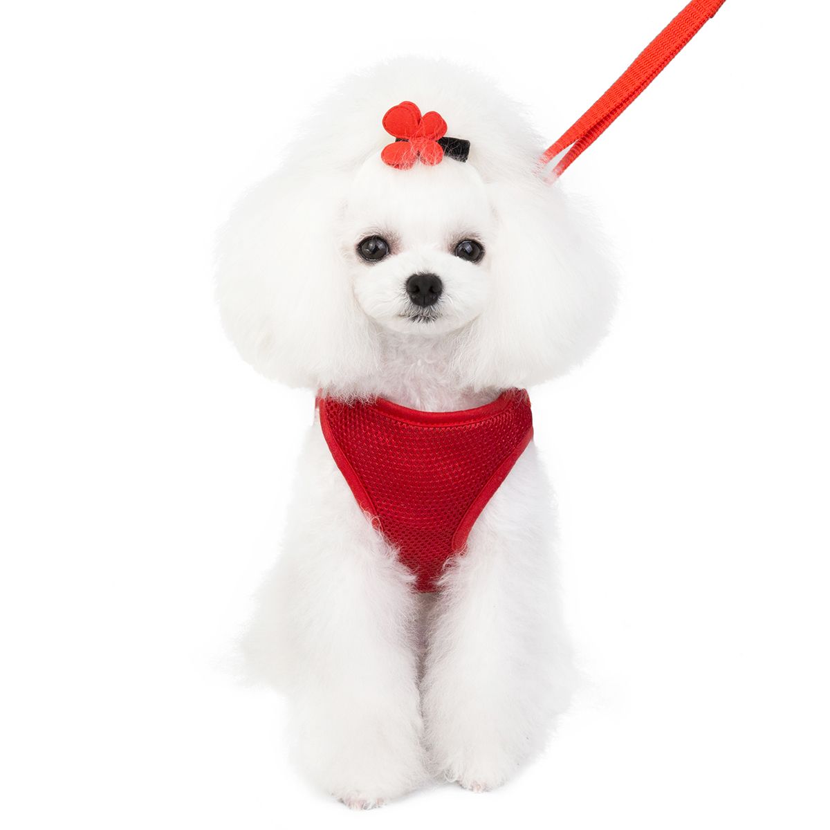 新款春夏宠物衣服网眼胸背宠物清凉小型犬衣服泰迪衣服厂家直销详情图9