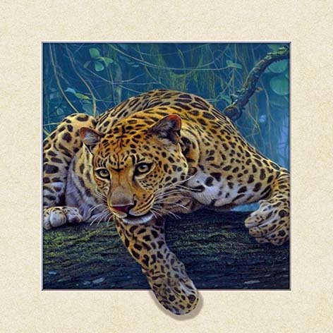 三维立体画，4040，5D画豹子细节图