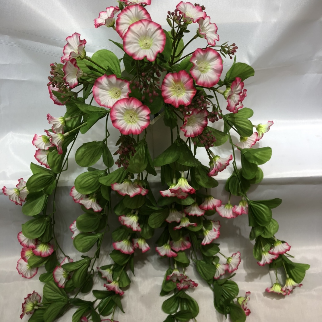 牵牛挂
