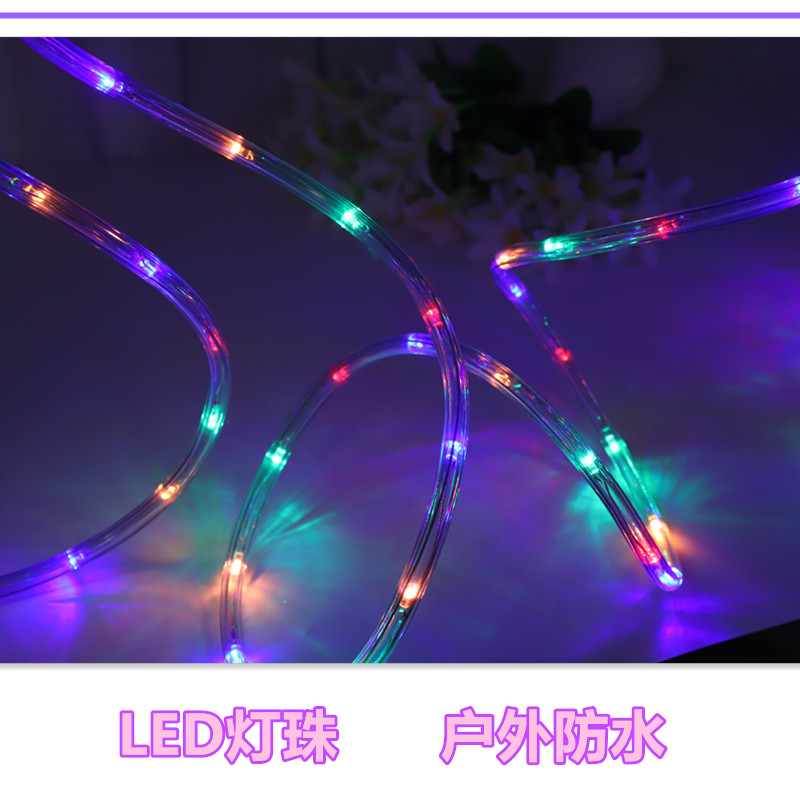 Outdoor waterproof decorative neon lighting project for 100-meter round two-wire LED rainbow tube flexible light strips detail image 3