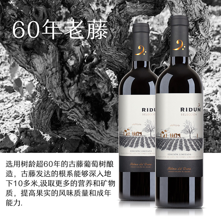 凯茜蕾西班牙原装进口原瓶原装瑞德姆60年老藤葡萄酒详情4
