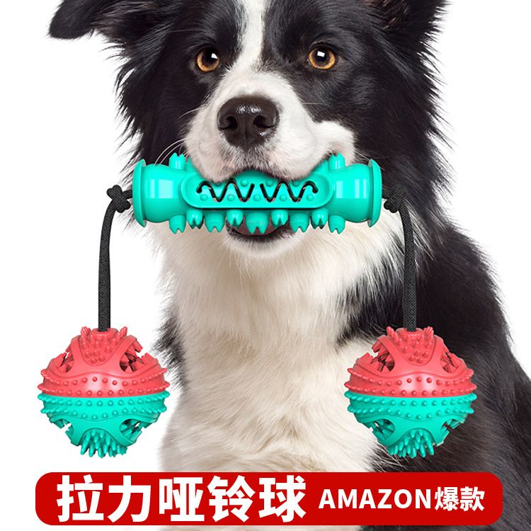 宠物用品新品亚马逊爆款狗狗玩具磨牙棒耐啃咬骨牙刷狗玩具带绳白底实物图