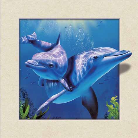 4040，5D装饰画海豚”。三维立体画