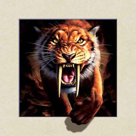 4040, 5D tiger drawing, three-dimensional stereoscopic drawing Specification image