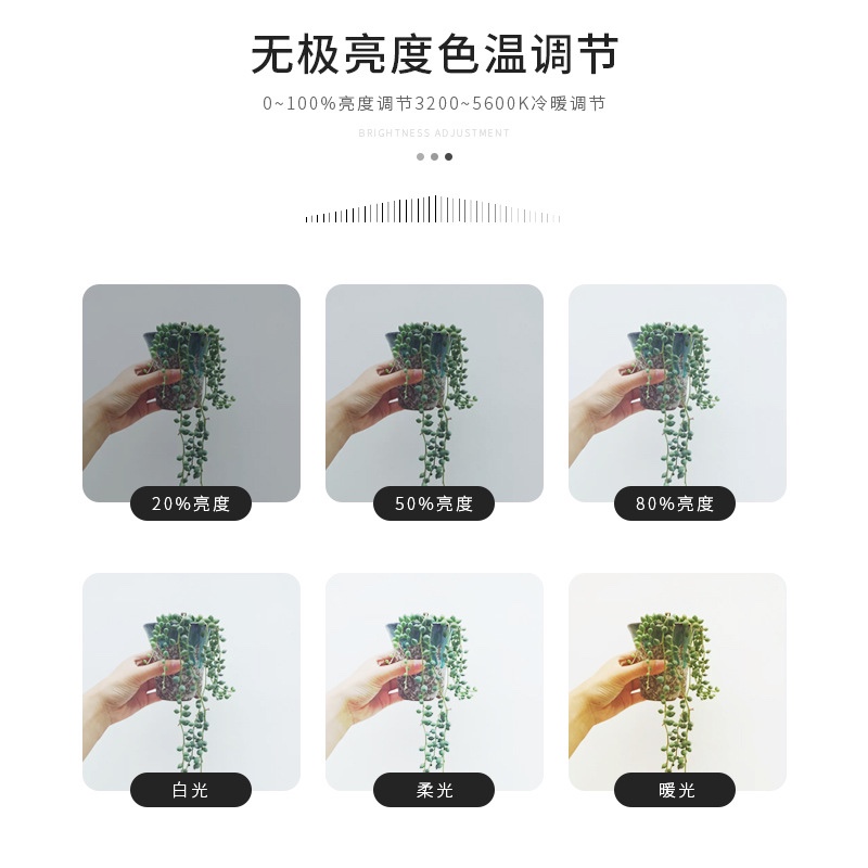 Ya kirin 8寸10寸直播灯三色桌面LED环形灯抖音直播美颜补光灯详情图7