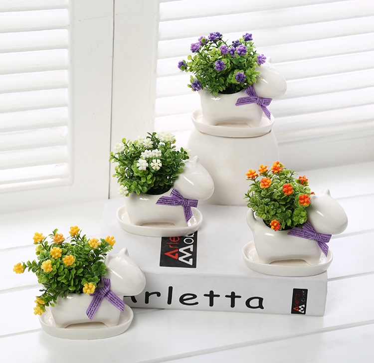 小猫小狗盆蛋果