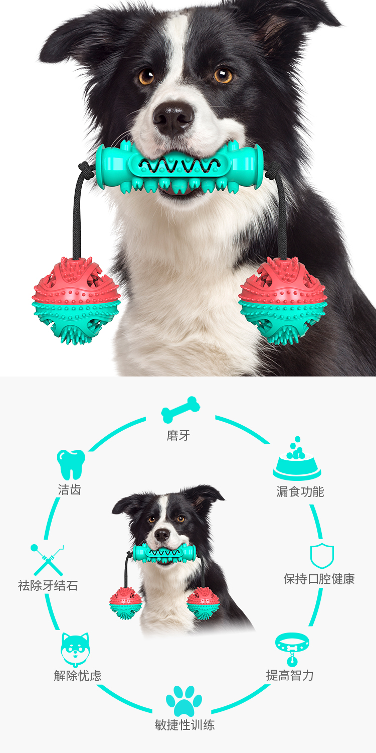 宠物用品新品亚马逊爆款狗狗玩具磨牙棒耐啃咬骨牙刷狗玩具带绳详情图1